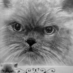 Заказать портрет кошки, собаки - Ник,бумага,карандаш,20х30,2017 г. Олег М.Караваев