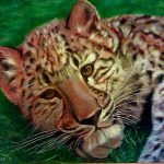 Картины художников -Леопард,холст,масло,50х60,2005г.Караваев О...