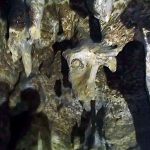Пещерные образы2