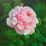 Роза в саду, холст, масло, 50х70, 2018 г. -Анастасия Алёхина