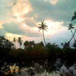 Пейзажи Шри Ланки, заказать картину-пейзаж