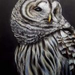 Barred Owl, Soft pastel, 50×65, Ольга Сосновська