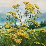 Квітуча Україна, полотно, олія, 50х70, Ольга Галагуз