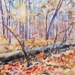 Осінь у Пущі-Водиці, акварель, папір, 15х21 см, Олена Романюк